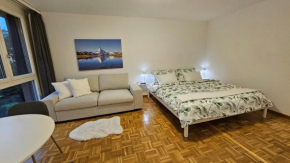 Premium Apartment mit Pilatus Sicht